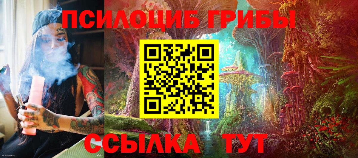 Галлюциногенные грибы Magic Shrooms  Псилоцибиновые грибы Psilocybine cubensis  Белорецк  Вход с VPN 